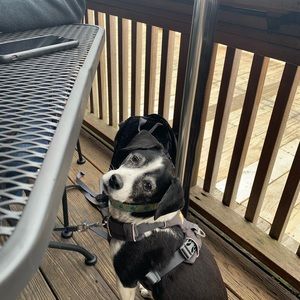 Meet your Posher, Mary